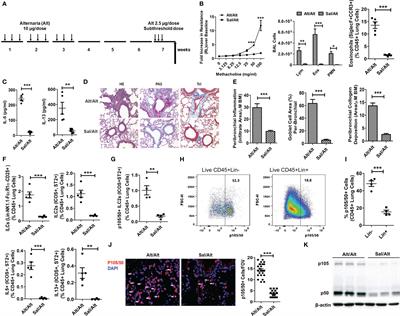 NFκB1 inhibits memory formation and supports effector function of ILC2s in memory-driven asthma